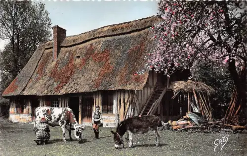 BR37947 la Normandie la troite cow vaches anne donkey france