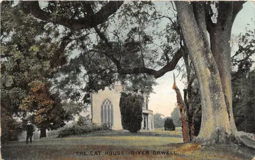 uk40733 cat house river orwell uk