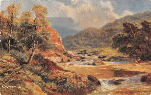 auk41048 comeinion wales uk