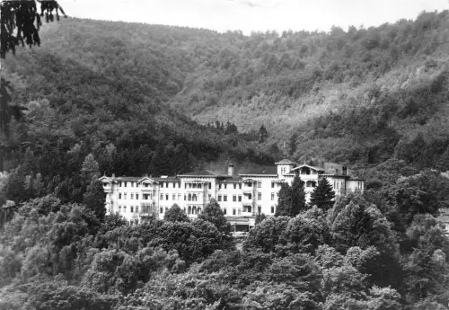 BG21567 harzburg er haf bad harzburg das schonste hotel germany CPSM 14,5x9cm