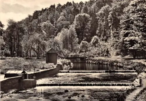 BG16828 rabenau er grund kr freital germany CPSM 14,5x9cm