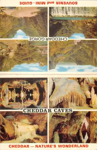 uk4828 cheddar natures wonderland uk