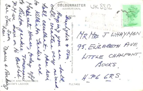 uk8812 sidmouth uk donkey