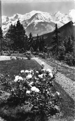 BR5963 main de dieu france