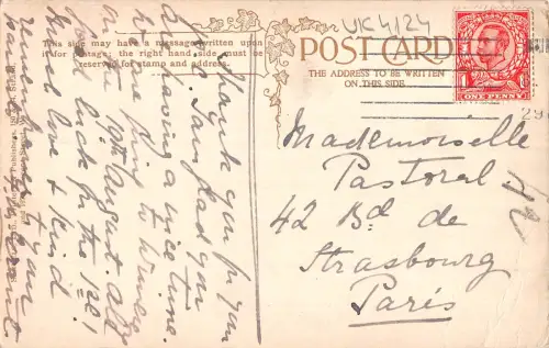 uk4124 windsor castle cows uk