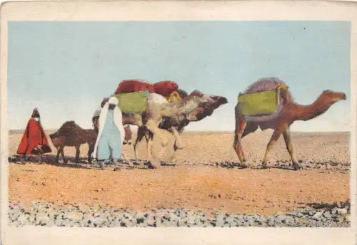 BF35846 Typen Chamel Egypt Front/Back Scan