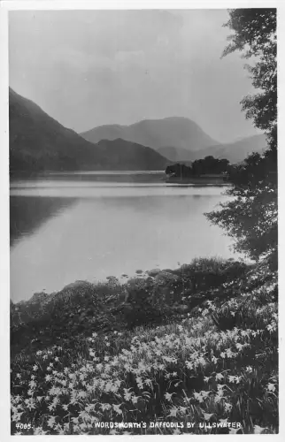 uk982 wordsworth daffodils ullswater real photo uk