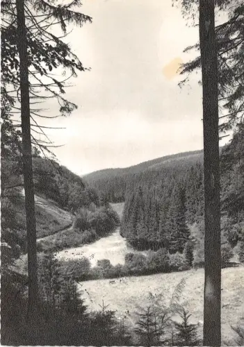 BG3579 willingen waldeck blick ins paradies CPSM 15x9,5cm germany