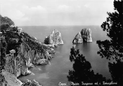 BG30800 capri punta tragara ed i faraglioni italy CPSM 14,5x10cm