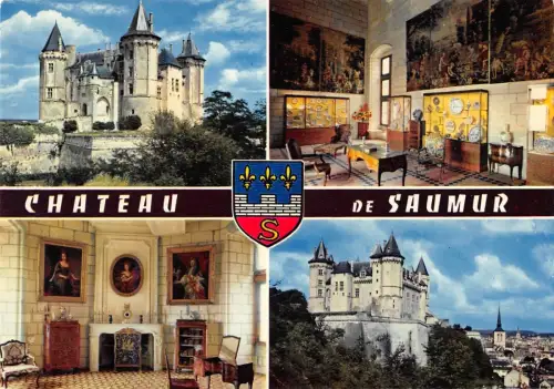 BR54402 Saumur le chateau france