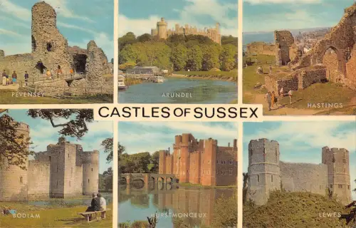 uk9181 castles of sussex uk