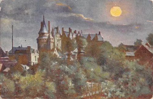 BR73109 Chateau de Langeais Postkarte Frankreich