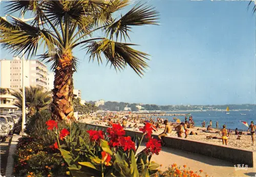 BT8419 Juan les Pins promenade du soleil France