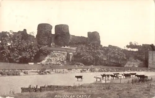 uk3432 rhuddlan castle wales cow real photo uk
