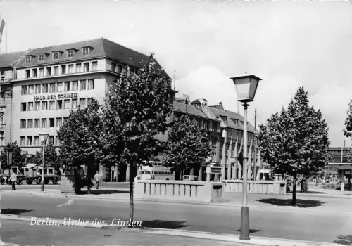 BG208 berlin unter den linden CPSM 14x9,5cm germany