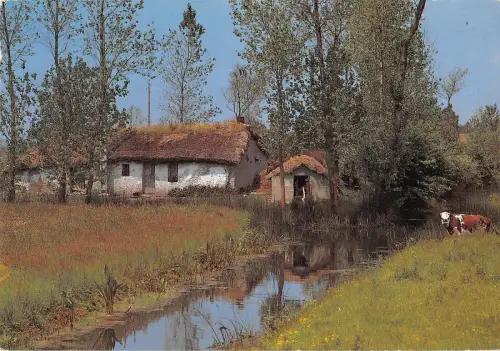 B109599 Frankreich Au Pays de Monts Bourrine Vendeenne Village