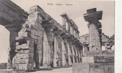 BF32039 pesto nettuno interno italy front/back image