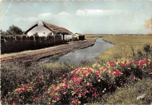 BR7224 Vendee une Bourine france