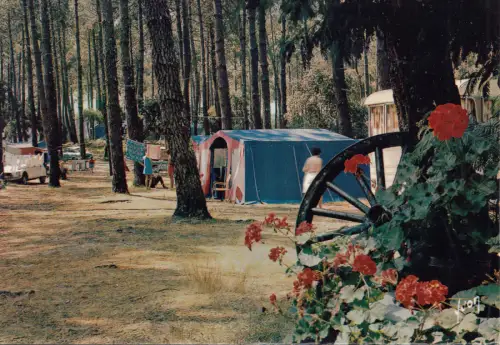BF19784 hossegor landes camping du lac france front/back image