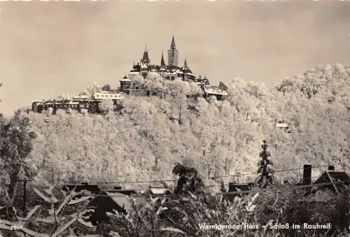 BG249 schloss im rauhreif wernigerode harz CPSM 14x9,5cm germany