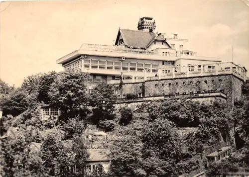 BG837 Schwein Luisenhof Weisser Hirsch Dresden CPSM 14x9,5cm Germany