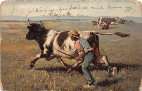 B17004 La Vache echappee 1919 Kuh
