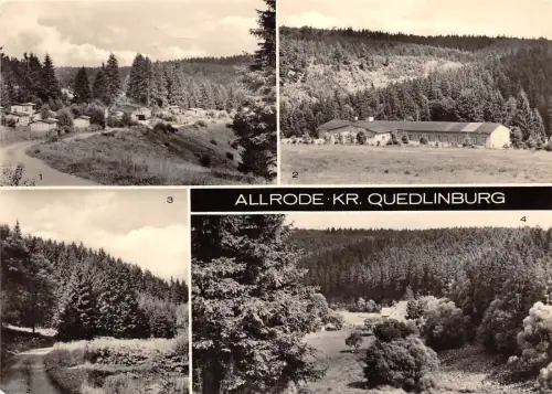 BG15651 allrode kr quedlinburg germany CPSM 14,5x9cm