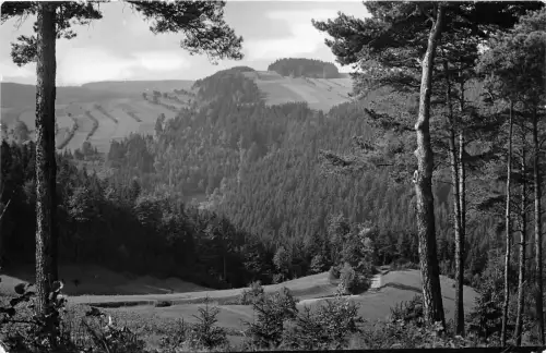 BG7514 wurzbach thur waldblick nach dem kleinen sormitzgrund germany CPSM 14x9cm