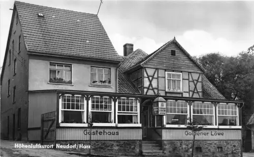 BG7838 hoheluftkuroart neudorf harz hotel goldener lowe germany CPSM 14x9cm