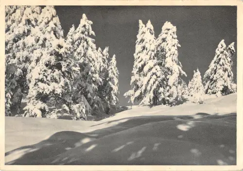 B105877 Verschneite Waldlandschaft Winter