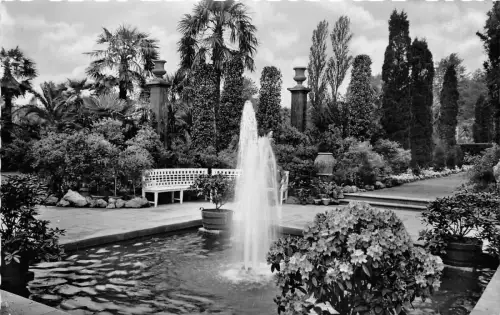 BG24073 Bad Pyrmont Palmengarten Germany CPSM 14x9cm