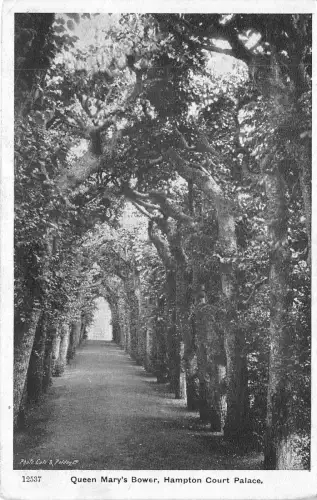 BR39828 Queen Mary s Bower Hampton Court Palace England