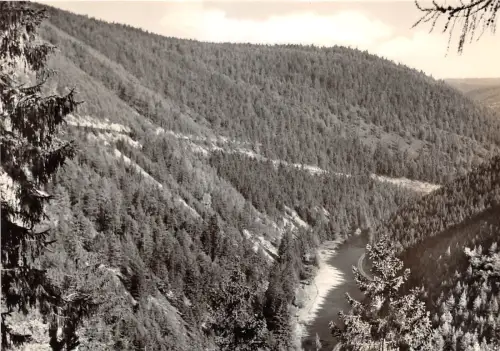 BG16388 meura thur wald blick vom meurastein schlagetal germany CPSM 14,5x9cm