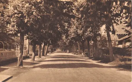 BR73171 musidan avenue georges clemenceau france