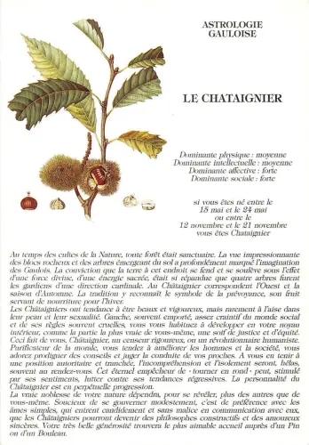 BR7231 Astrologie Gauloise Le Chataignier Astrologie Postkarte