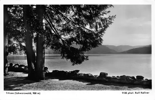 BG32429 Titisee Schwarzwald Germany CPSM 14x9cm