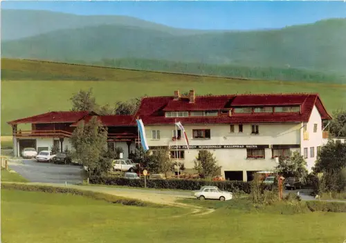 BG22344 Cafe Hotel Böhmerwald Warzenried Germany CPSM 14,5x9cm