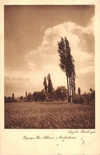 BR47212 Payage bas rheineis morlenheim Frankreich