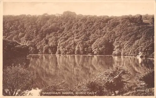 uk2731 sharpham woods river dart real photo uk
