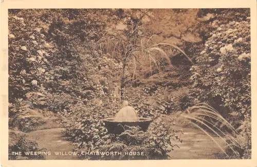 uk3049 the weeping willow chatsworth house derbyshire real photo uk