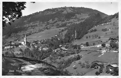 BR11927 Trois Wildbäche Frankreich Echtfoto