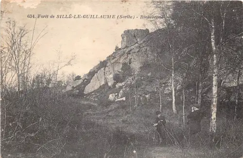 BF16034 foret de sille le guillaume sarthe france