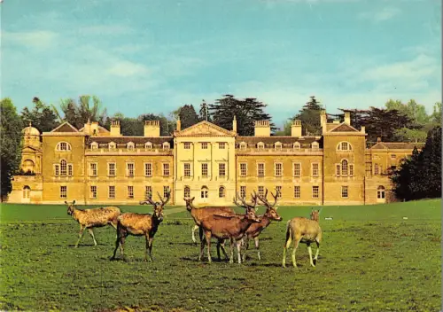 B101870 Woburn Abbey Open Every Day of the Year Deer Cerf UK
