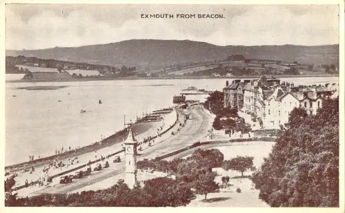 uk29960 exmouth from beacon real photo uk