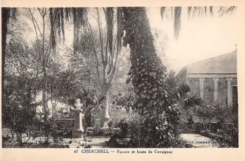 BF9182 squaree et buste de vabaignac cherchell algeria Algeria