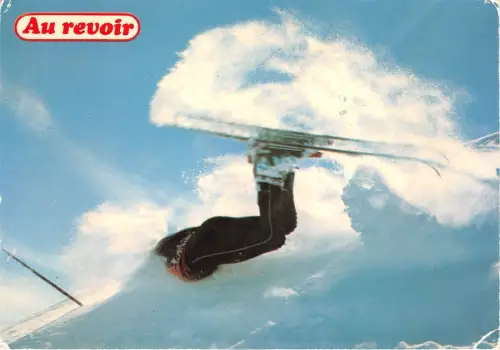 BF38250 au revoir Ski Sport Sportif