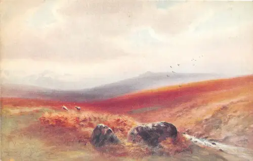 uk42405 exmoor uk