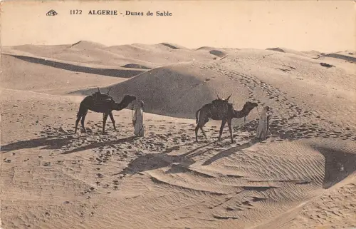 BF9046 Algerien Dünen Zobel Kamel Algerien