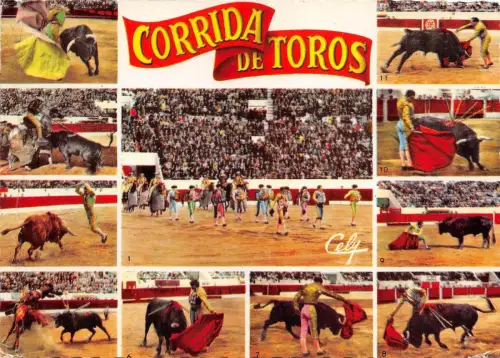 BR43687 Corrida diverses phasen d une corrida toros bull