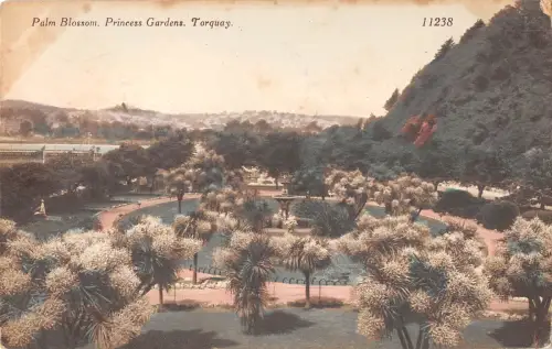 uk27406 palm blossom princess gardens torquay uk